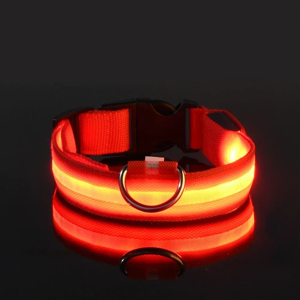 Dog Collar Nylon LED Night Safety Flashing Glow in the Dark 