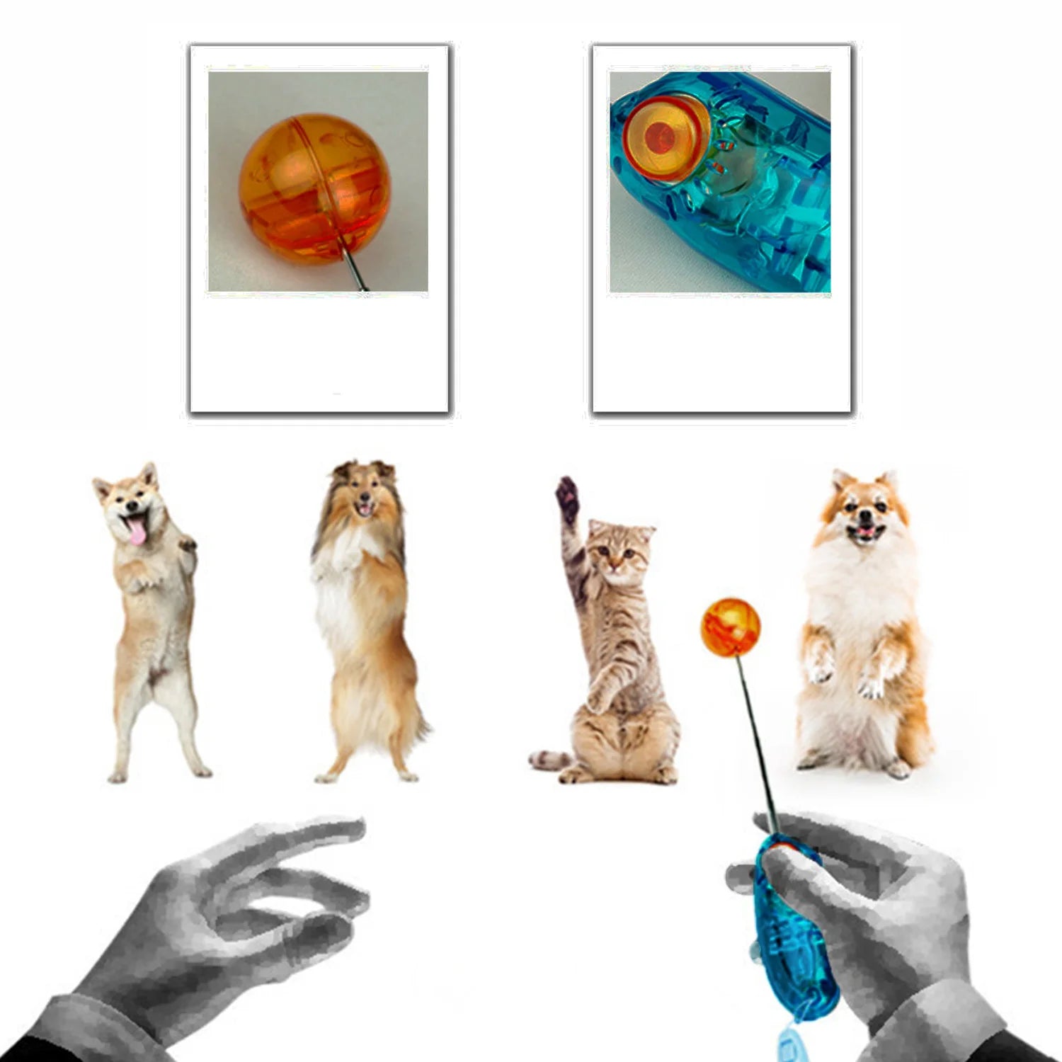 Behogar Novelty Stretchable Design Pet Dog Cat Training Clicker 