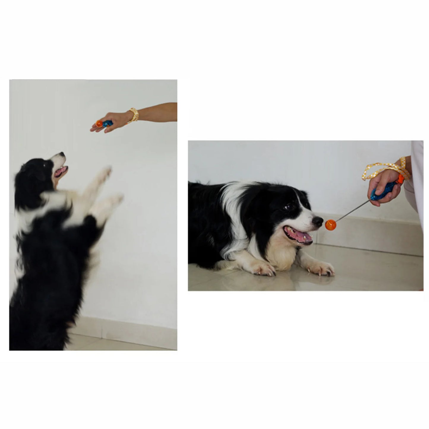 Behogar Novelty Stretchable Design Pet Dog Cat Training Clicker 