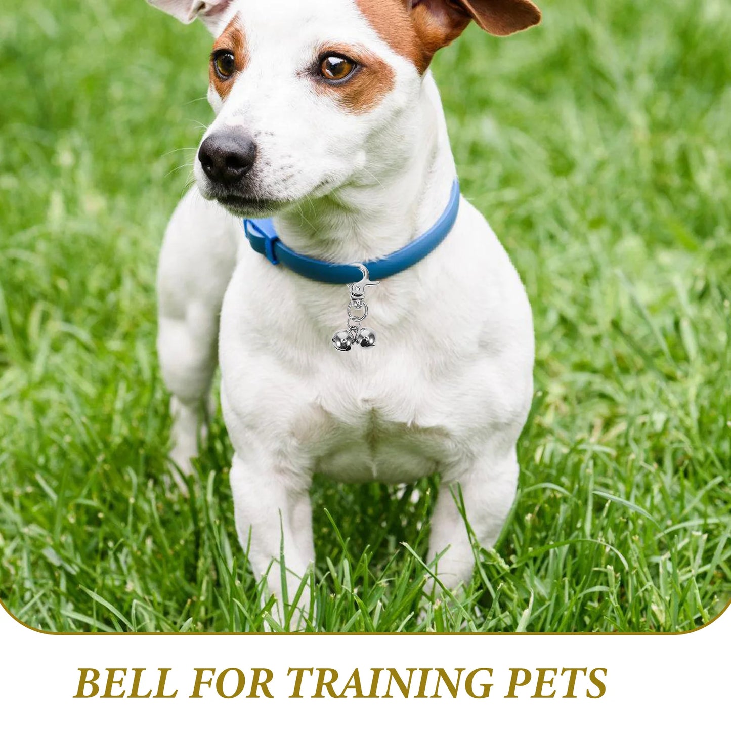 2 Pcs Pet Bells for Dogs Training Jingle Necklace