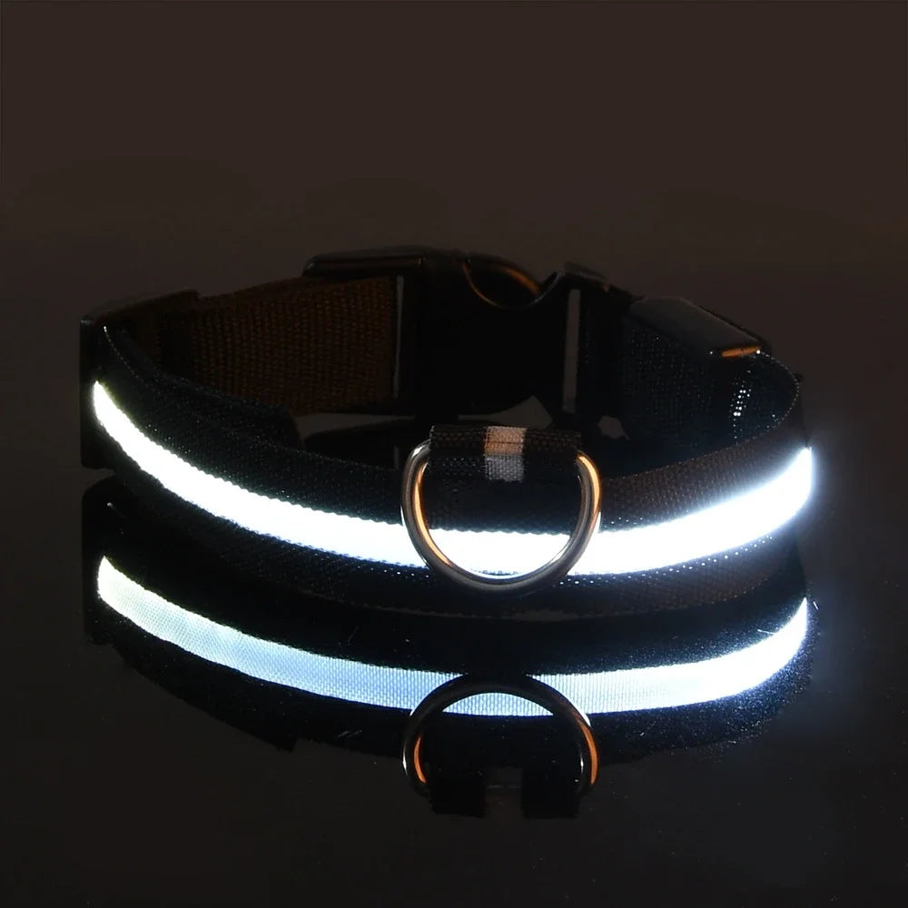 Dog Collar Nylon LED Night Safety Flashing Glow in the Dark 