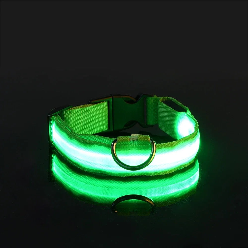 Dog Collar Nylon LED Night Safety Flashing Glow in the Dark 