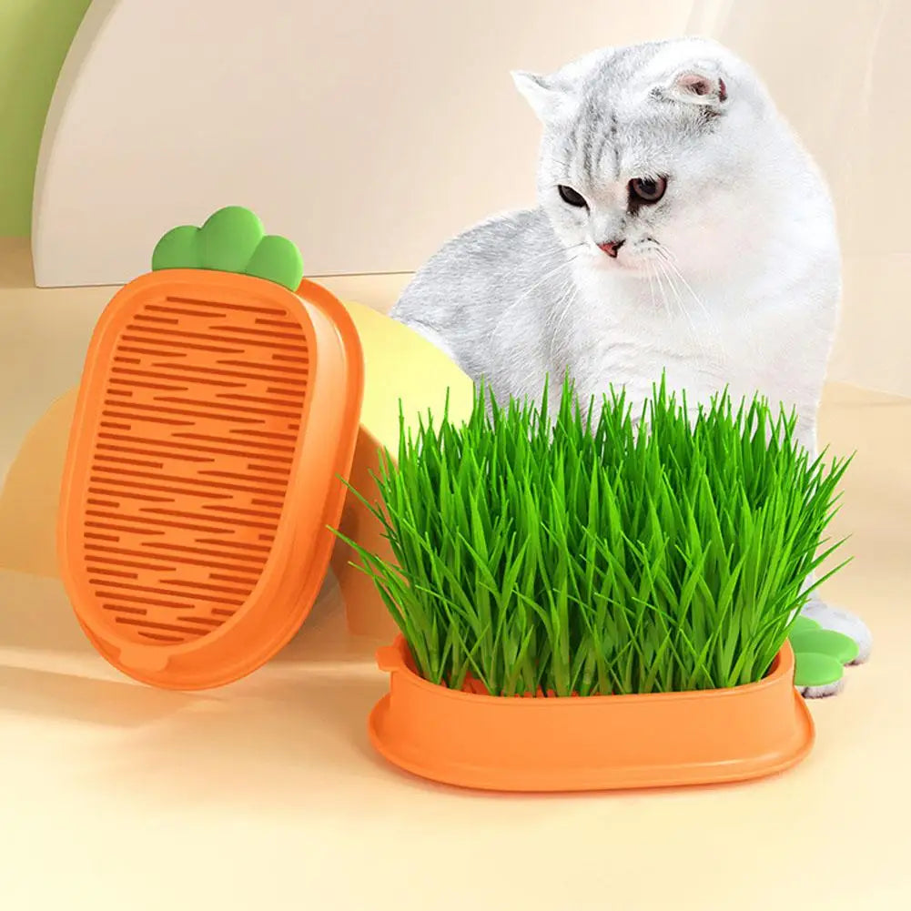 Seedling Tray Soilless Cat Plant Pot Creative Carrot Planter