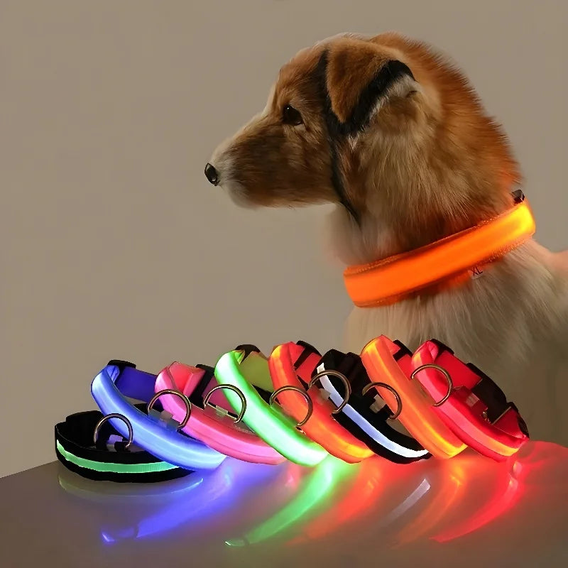 Dog Collar Nylon LED Night Safety Flashing Glow in the Dark 