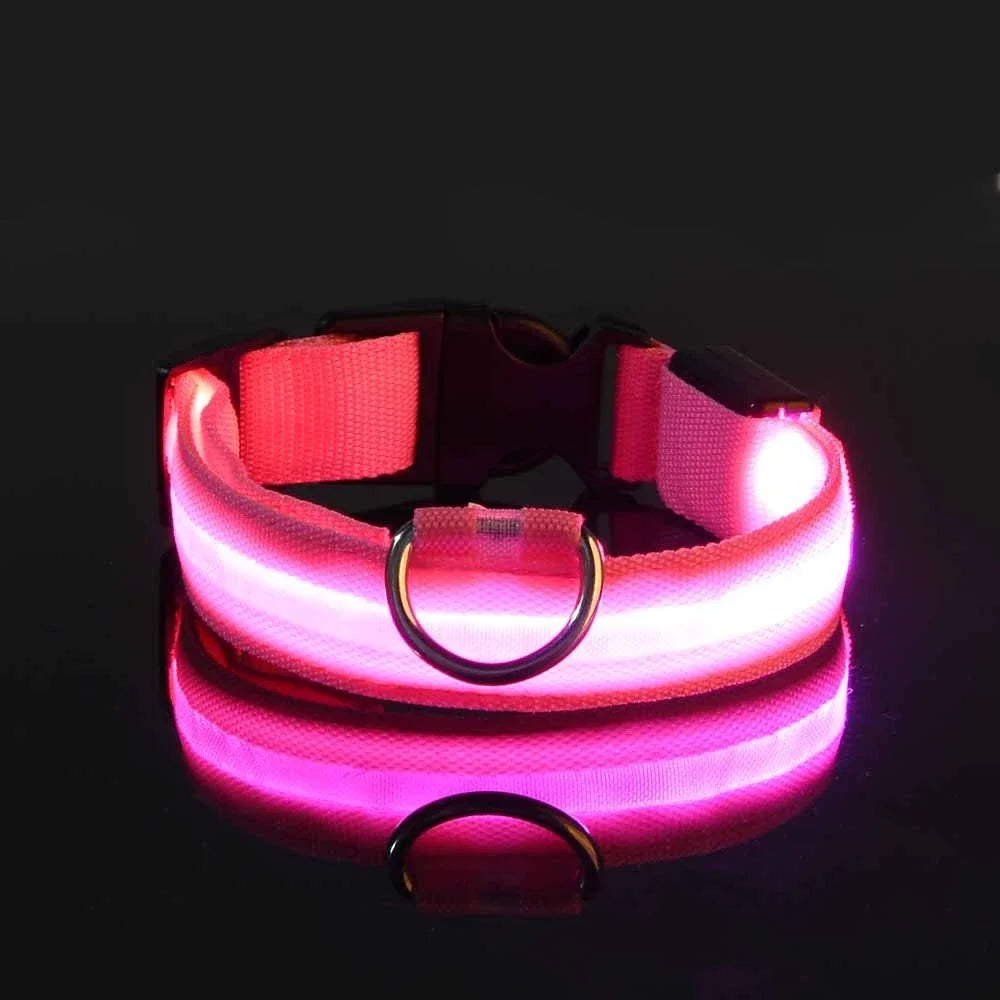 Dog Collar Nylon LED Night Safety Flashing Glow in the Dark 