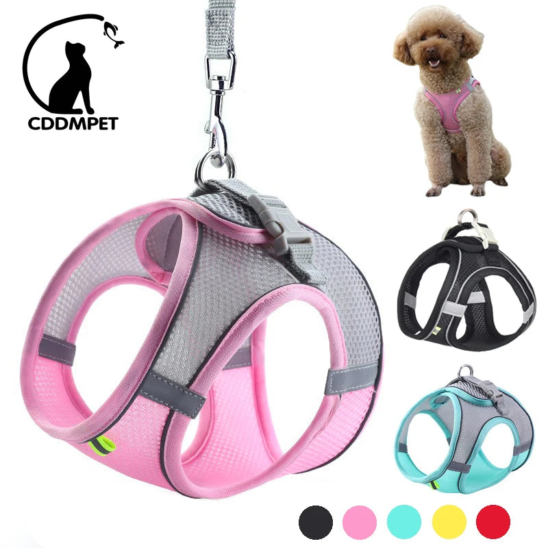 Dog Harness Leash Set for Small Dogs Adjustable Puppy Cat 