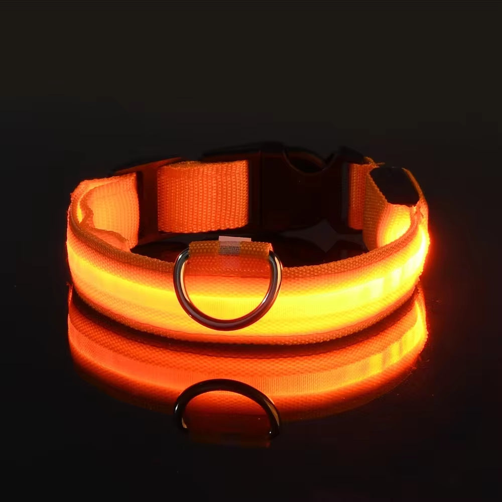 Dog Collar Nylon LED Night Safety Flashing Glow in the Dark 