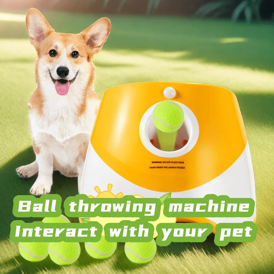 Dog Launcher Automatic Dogs Chase Toy Tennis